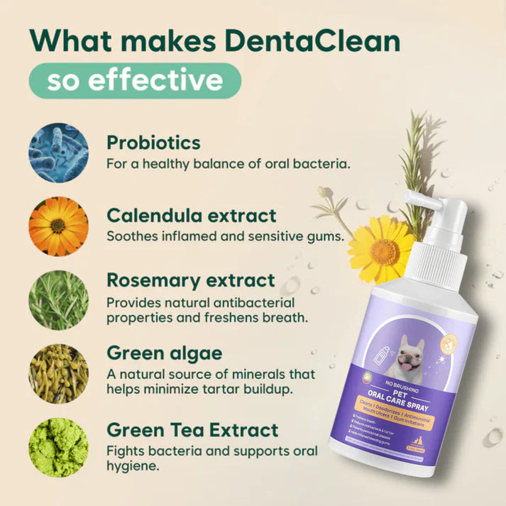 Stop Gum Disease Before It Starts