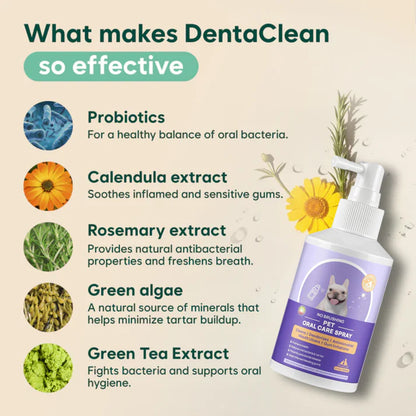 Stop Gum Disease Before It Starts