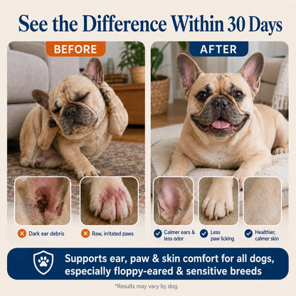 Healthy Ears, Happy Paws, Comfortable Skin - Naturally
