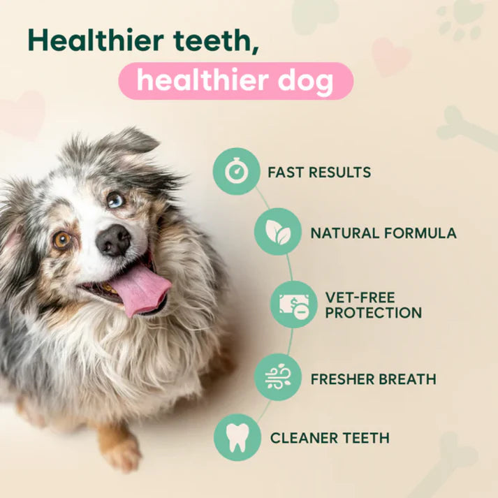 Stop Gum Disease Before It Starts