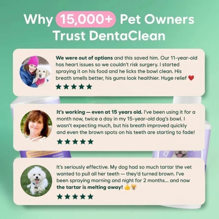 Stop Gum Disease Before It Starts