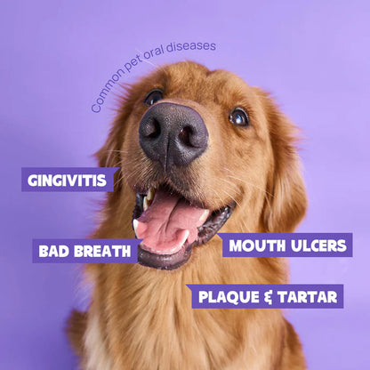 Stop Gum Disease Before It Starts