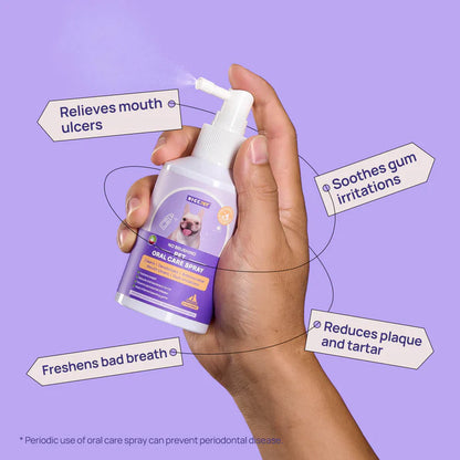 Stop Gum Disease Before It Starts
