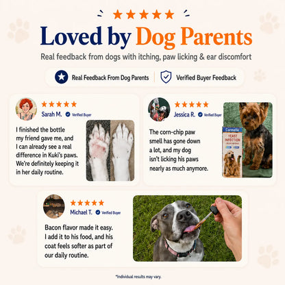 Healthy Ears, Happy Paws, Comfortable Skin - Naturally